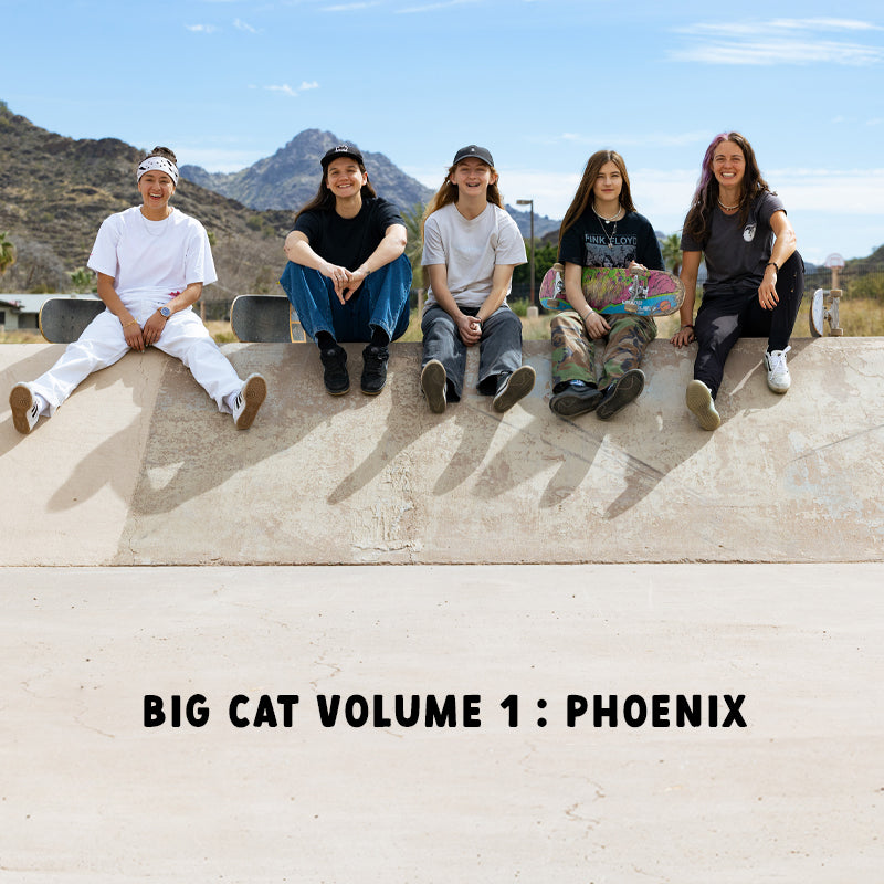 Big Cat Volume 1 : Phoenix