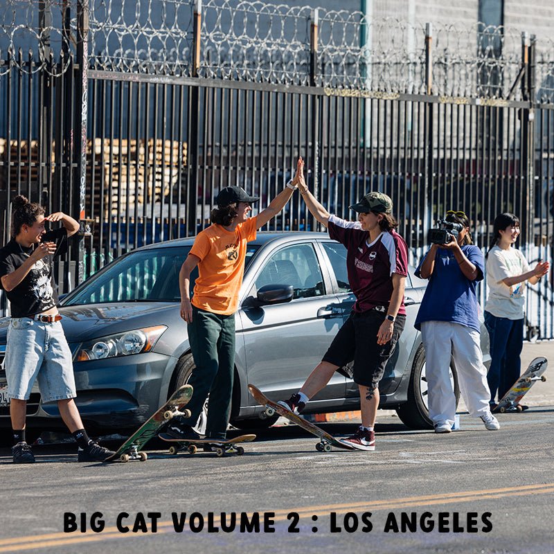 Big Cat Volume 2: Los Angeles - Meow Skateboards