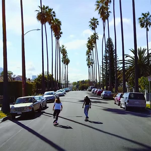 The Shins - Name For You - Meow Skateboards