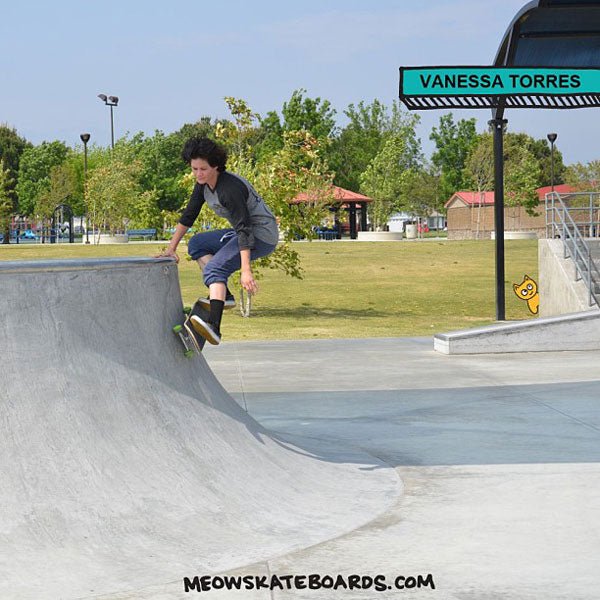 Vanessa Gets Blogged - Meow Skateboards